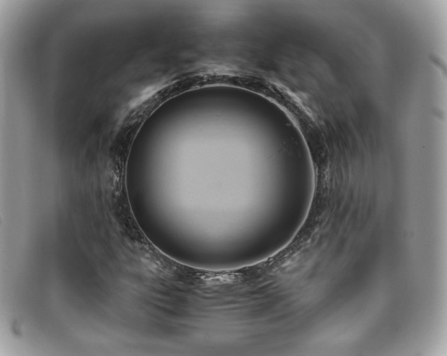 X0000095891303200801111146