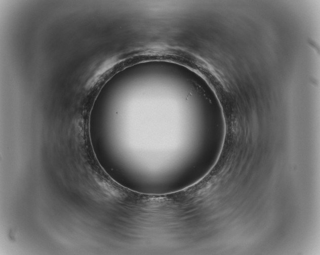 X0000095891304200801111146