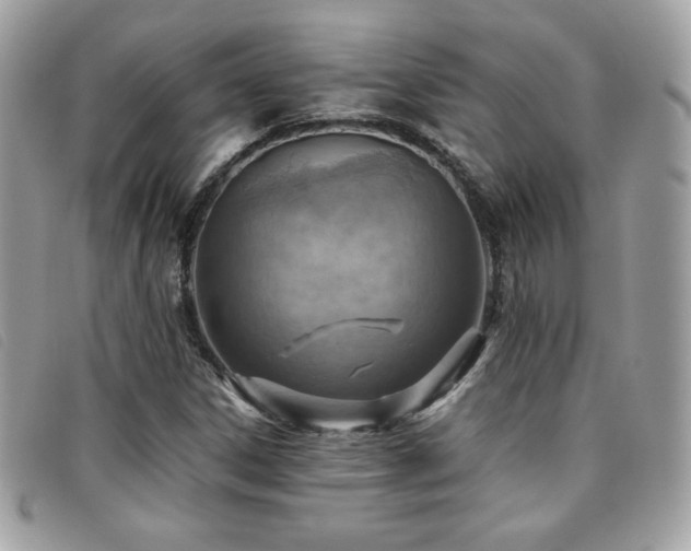 X0000095891306200801111146