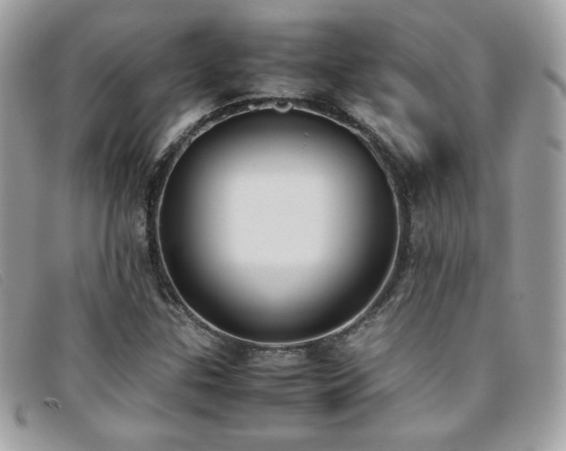 X0000095891307200801111146