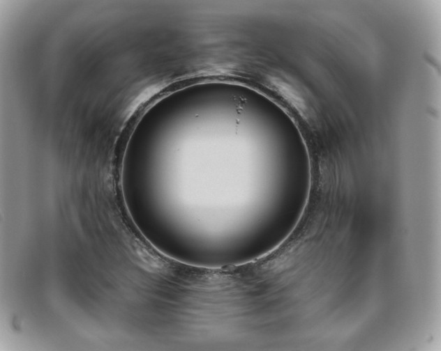 X0000095891308200801111146