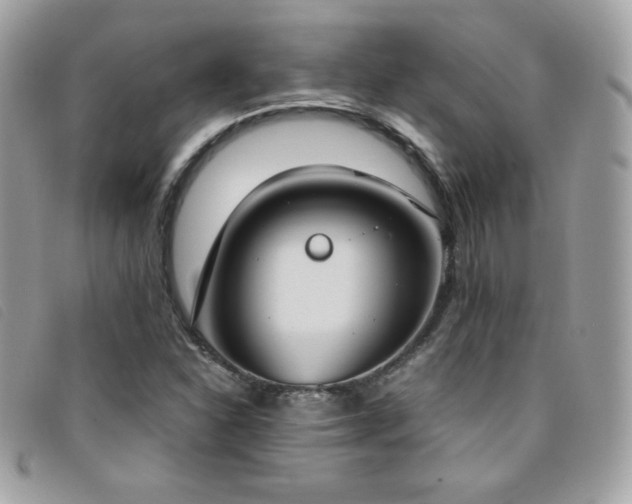 X0000095891310200801111146