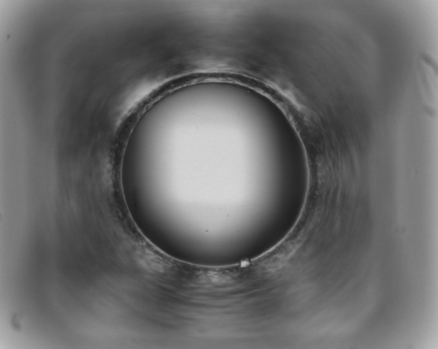 X0000095891311200801111146