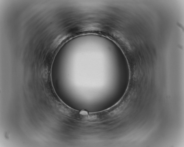X0000095891313200801111146