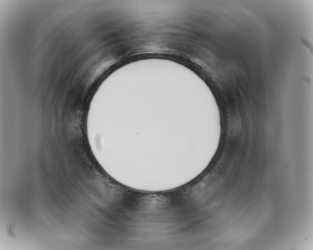 X0000095891314200801111146