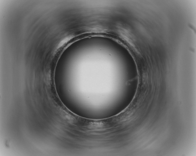 X0000095891315200801111146