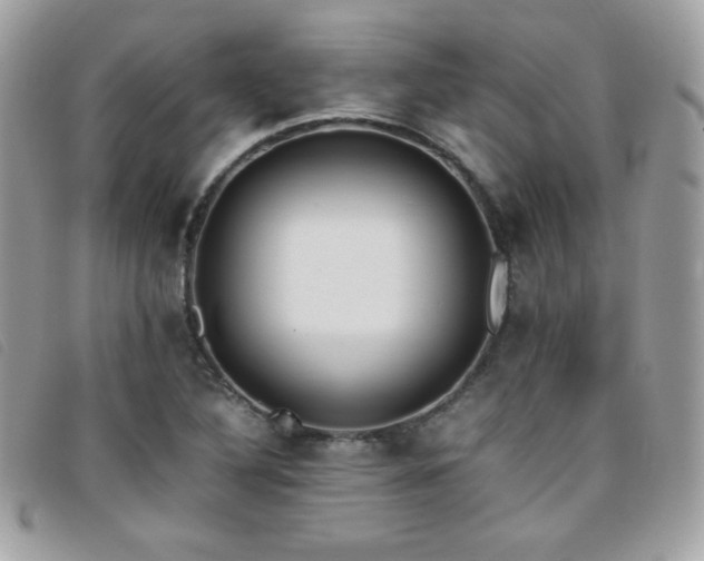 X0000095891316200801111146