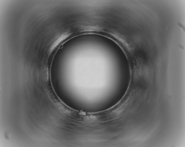 X0000095891317200801111146