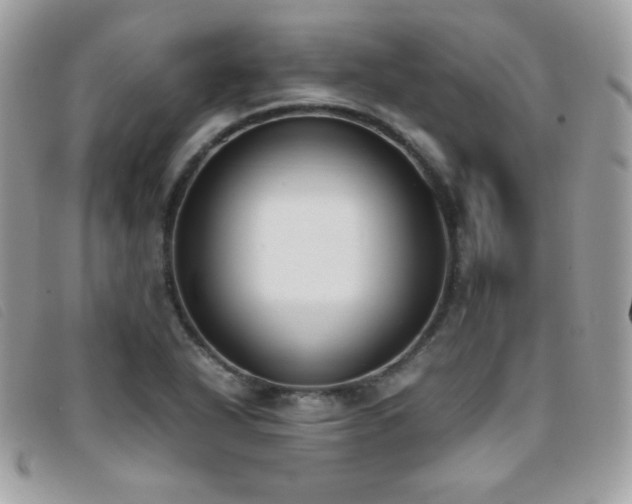 X0000095891318200801111146