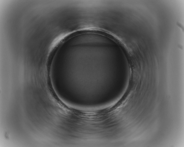 X0000095891319200801111147
