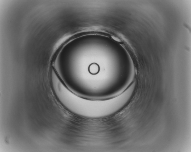 X0000095891320200801111147