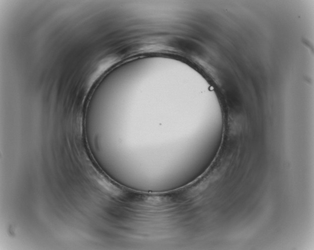 X0000095891322200801111147