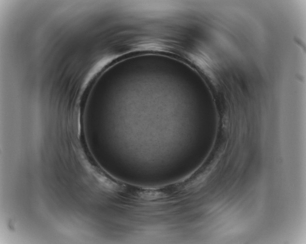X0000095891323200801111147