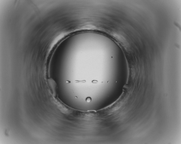 X0000095891326200801111147
