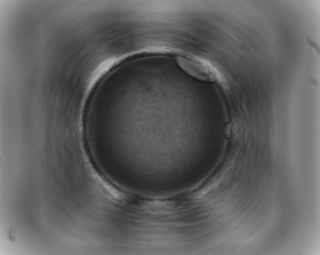 X0000095891327200801111147