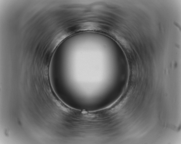 X0000095891329200801111147
