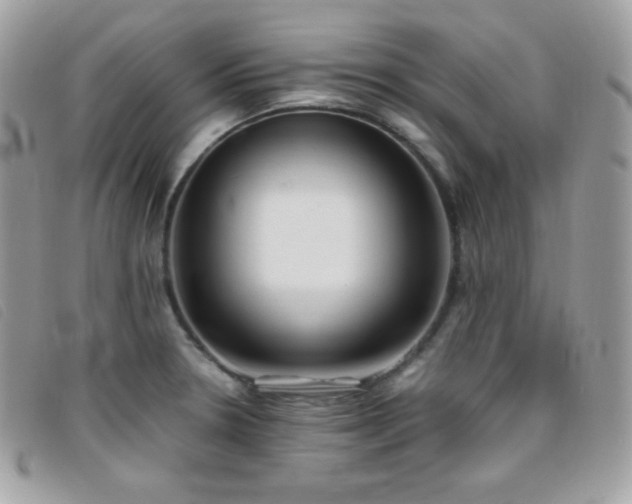 X0000095891330200801111147