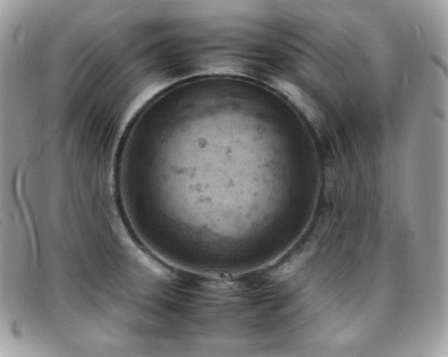 X0000095891331200801111147
