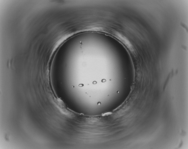 X0000095891332200801111147