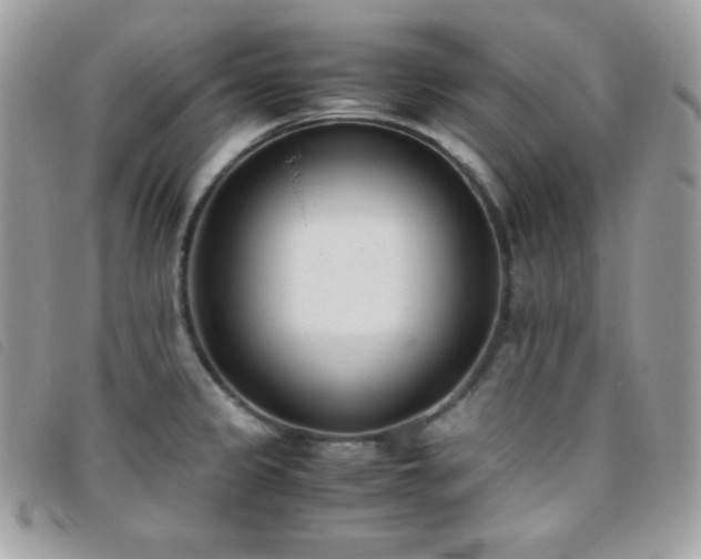 X0000095891333200801111147