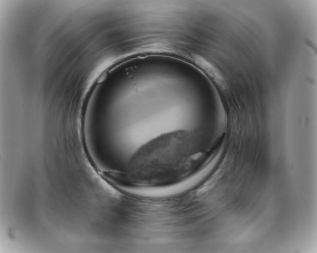 X0000095891334200801111147
