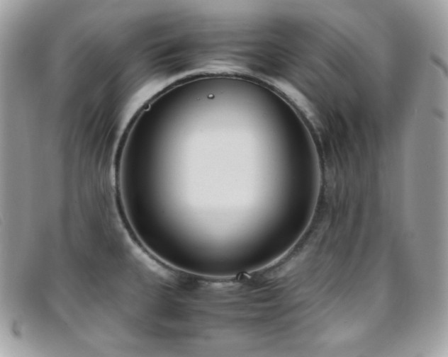 X0000095891335200801111147