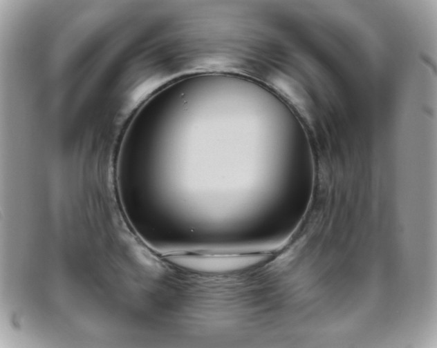 X0000095891336200801111147
