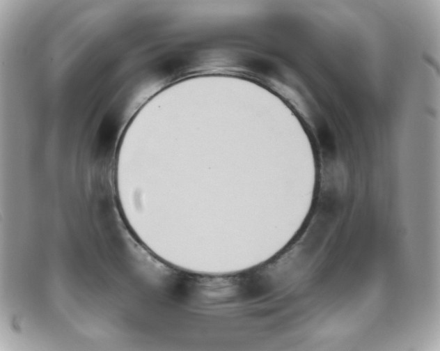 X0000095891338200801111147