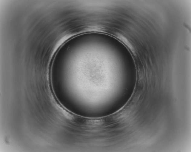 X0000095891339200801111147