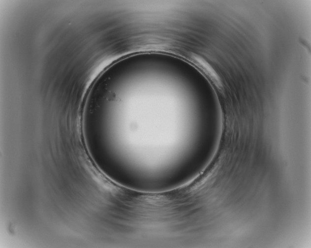 X0000095891340200801111147