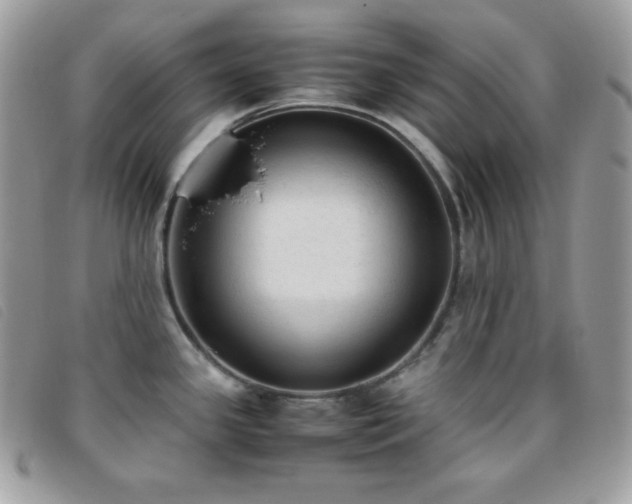 X0000095891341200801111147