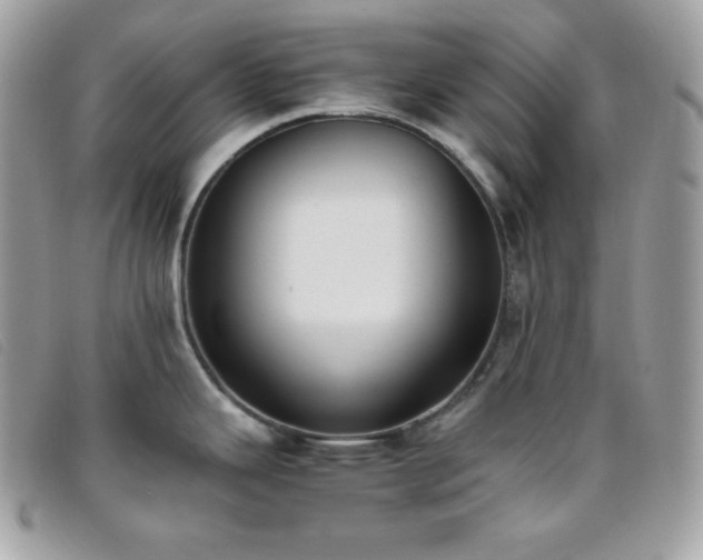 X0000095891343200801111147