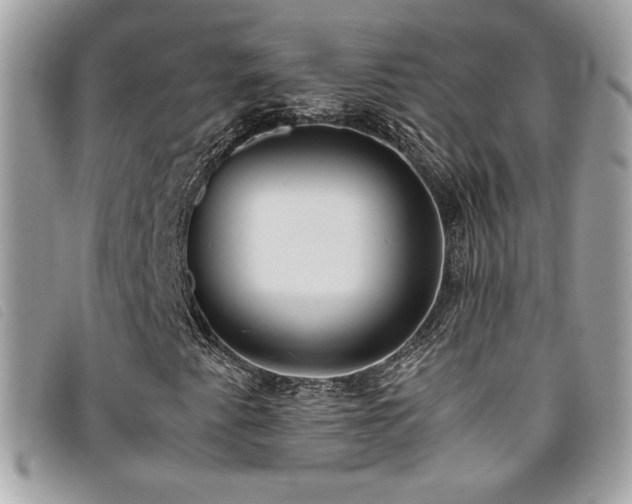 X0000095891345200801111146