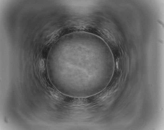 X0000095891347200801111146