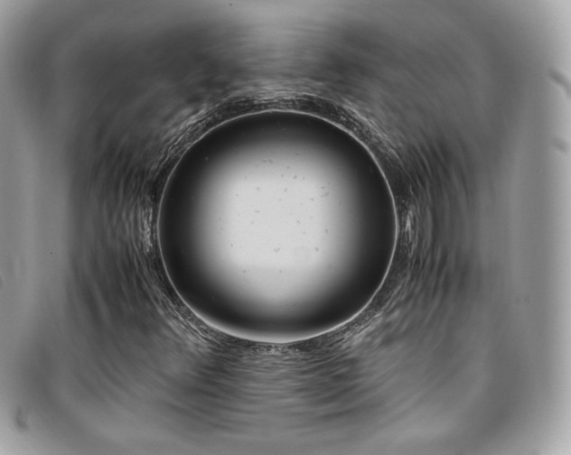 X0000095891348200801111146