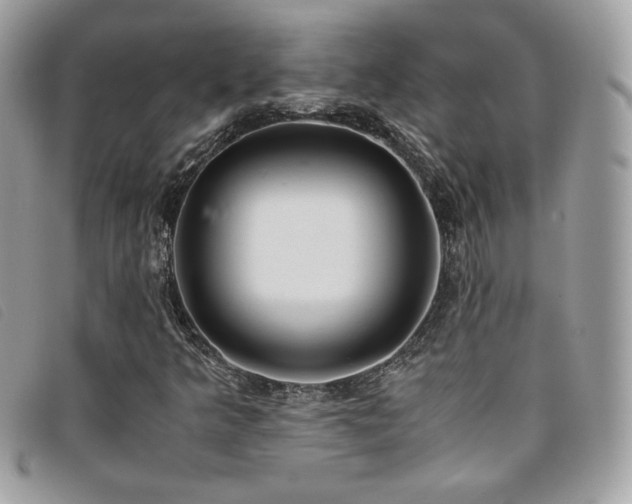 X0000095891349200801111146