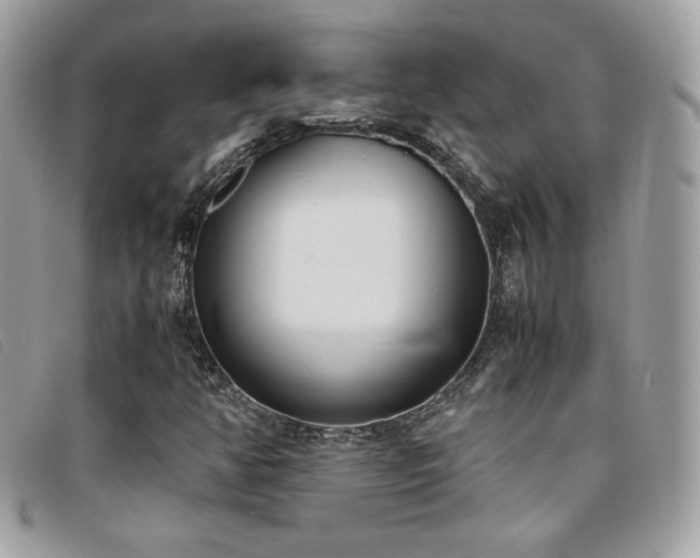 X0000095891350200801111146