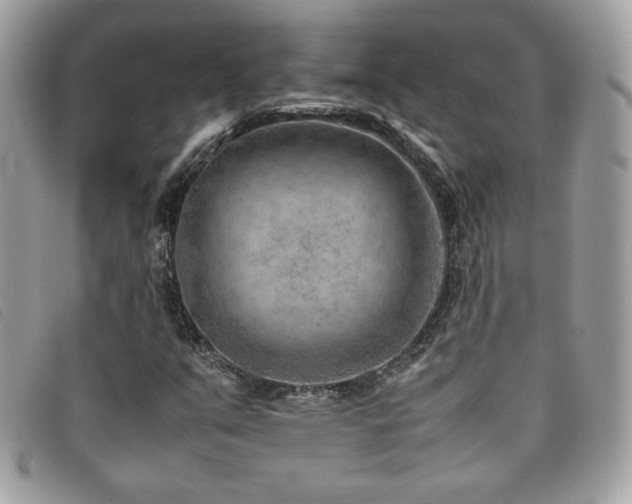 X0000095891351200801111146