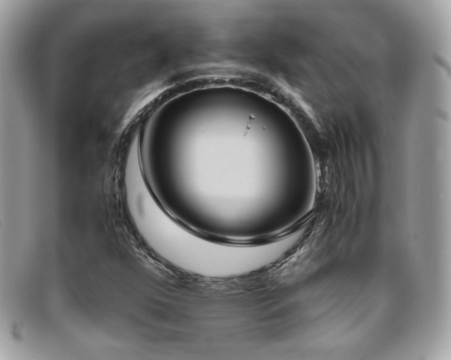 X0000095891352200801111146
