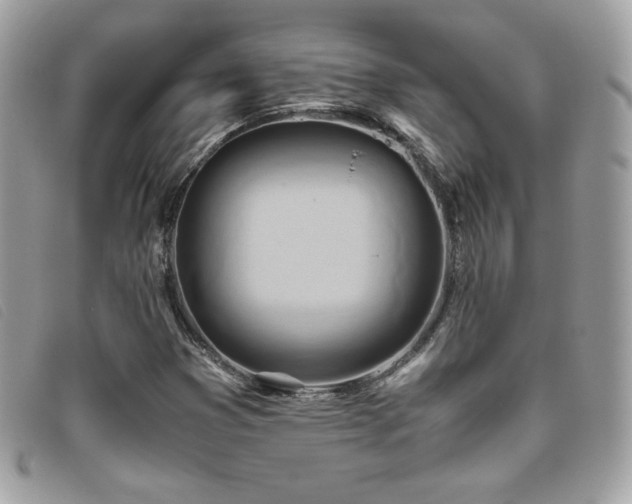 X0000095891353200801111146