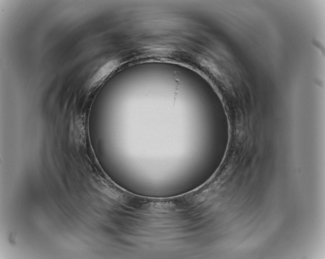 X0000095891354200801111146