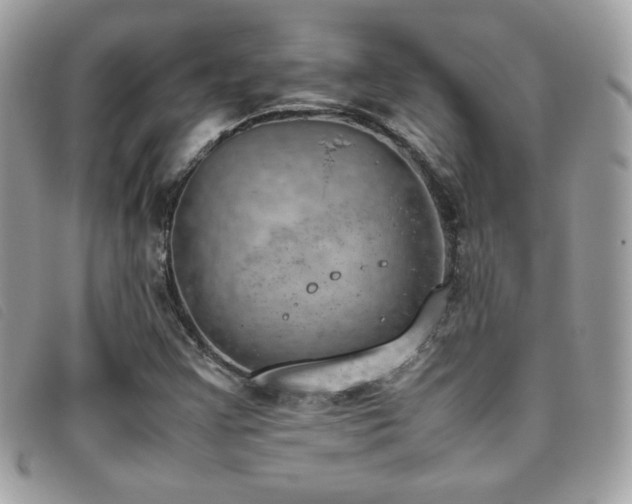 X0000095891355200801111146
