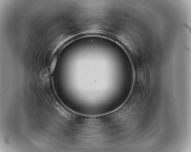 X0000095891356200801111146