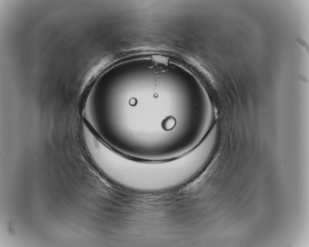 X0000095891357200801111146