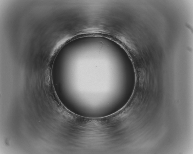 X0000095891358200801111146
