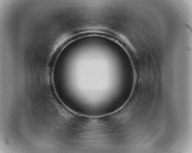 X0000095891360200801111146