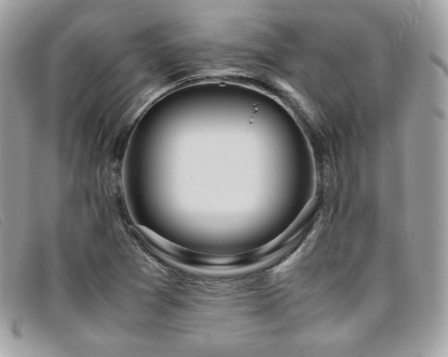 X0000095891361200801111146