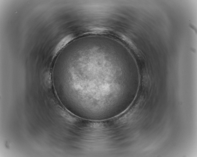 X0000095891362200801111146