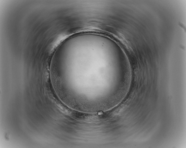 X0000095891363200801111146
