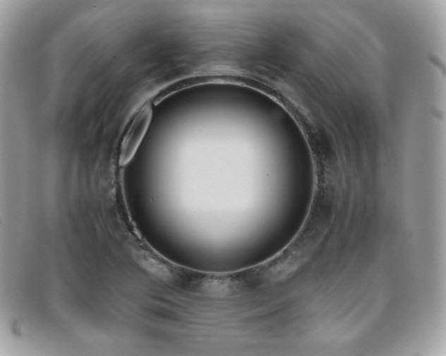 X0000095891364200801111146